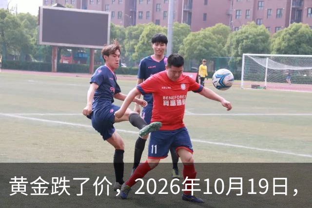 黄金跌了价，2026年10月19日，中国黄金最新价格，人民币黄金最新价格