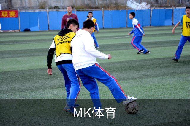 MK体育团队与服务介绍